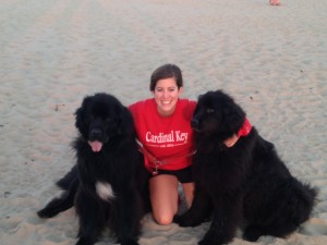 Peggy shared some CK love with her Newfoundland cousins, Birkie and Henry, at  the beach in Lake Michigan!